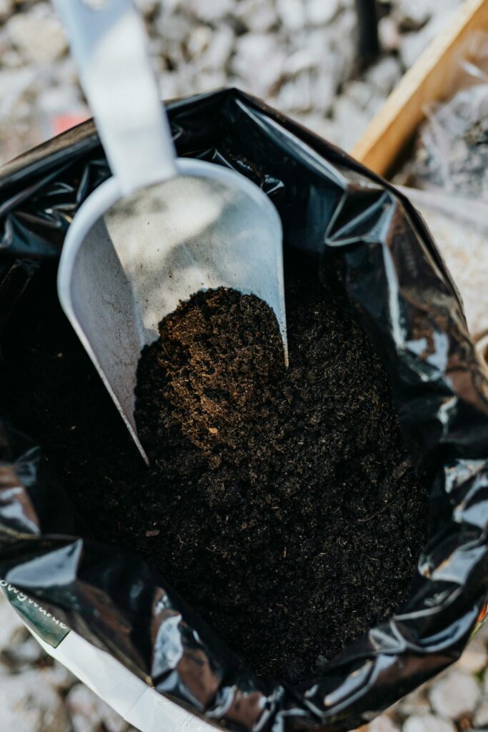 Manure